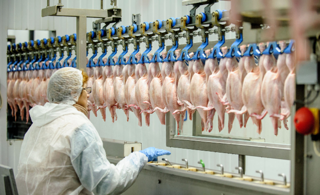 Formación bonificada sobre bienestar animal con Serves