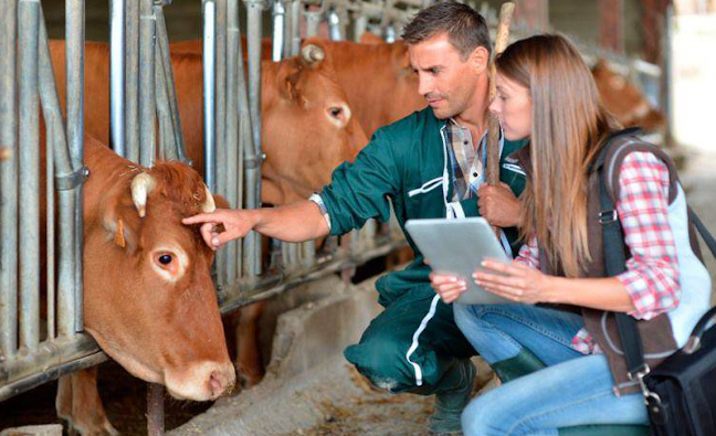 Formación bonificada sobre bienestar animal con Serves